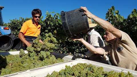 Photo: De Bortoli Wines, Yarra Valley