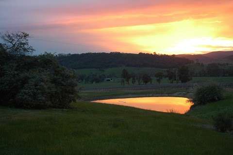 Photo: Pauls Range Vineyard